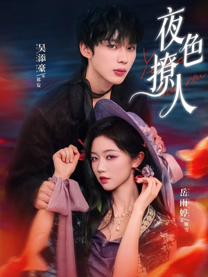 夜色撩人（76集）最新热剧免费看
