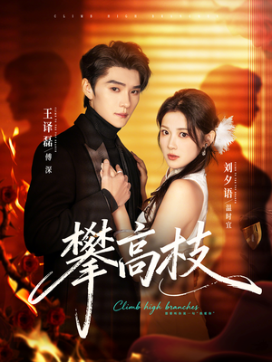 攀高枝（70集）直接看到大结局