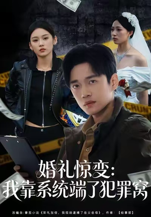 婚礼惊变：我靠系统端了犯罪窝（80集）免费观看全集