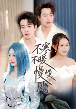 不寒不暖慢慢风(70集) 不寒不暖慢慢风(70集)太好看了短剧