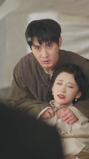 一纸休夫，半壁山河（62集）剧情简介