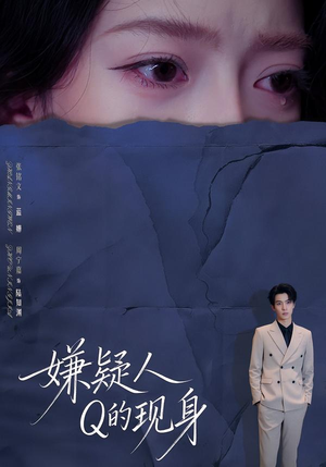 嫌疑人Q的现身（73集）在线观看完整版