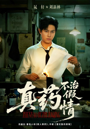 真药不治假情（60集）热门了短剧