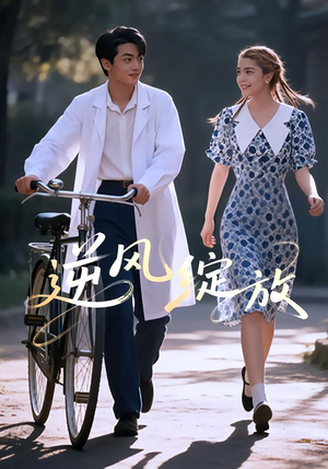 逆风绽放（55集）评价怎么样