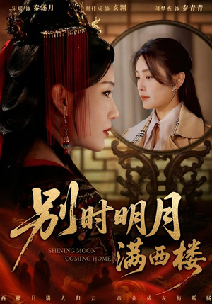 别时明月满西楼(71集) 别时明月满西楼(71集)演的怎么样