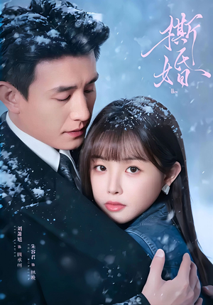 撕婚(23集) 撕婚(23集)在线免费观影