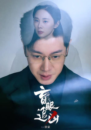 盲眼追凶（60集）看到了大结局