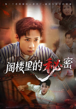 阁楼里的秘密（76集）短剧免费分享