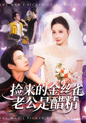 捡来的金丝雀老公是醋精（129集）热门短剧追到爽