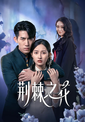 荆棘之花（100集）精彩短剧来袭