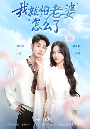 我就怕老婆怎么了(88集) 我就怕老婆怎么了(88集)全集下载