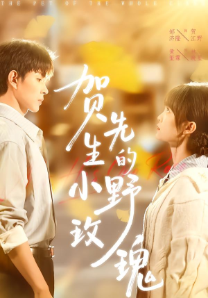 贺先生的小野玫瑰(99集) 贺先生的小野玫瑰(99集)视频在线看