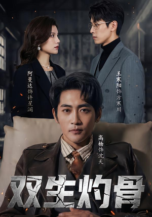 双生灼骨(60集) 双生灼骨(60集)民国短剧推荐