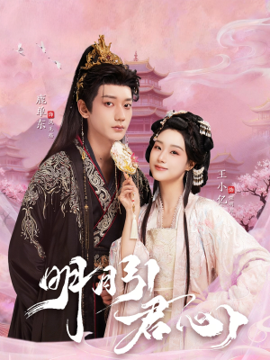 明月引君心（74集）热门短剧来袭