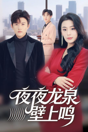 夜夜龙泉壁上鸣(63集) 夜夜龙泉壁上鸣(63集)演的怎么样