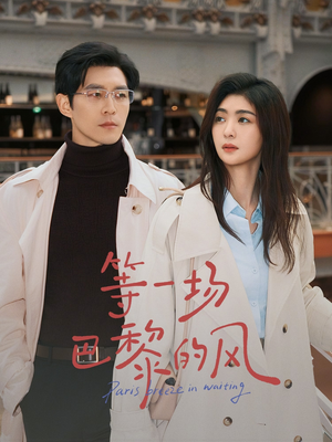 等一场巴黎的风(60集) 等一场巴黎的风(60集)大结局太过瘾了