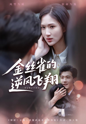 金丝雀的逆风飞翔（80集）排行榜前十短剧