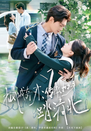 枫城奇才：传承加身踏清北（80集）无需充值尽情看