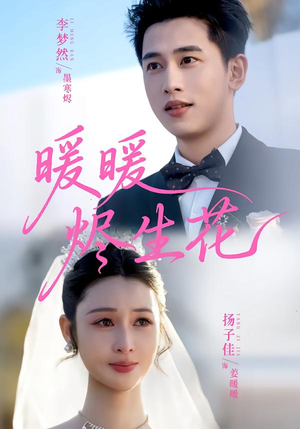暖暖烬生花（65集）热播短剧来袭