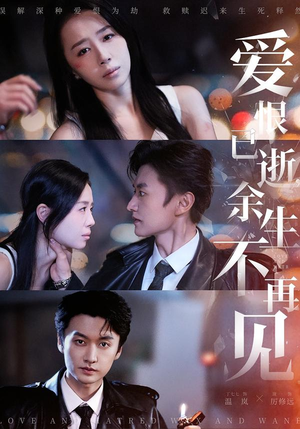 爱恨已逝,余生不再见(68集) 爱恨已逝,余生不再见(68集)推荐热门短剧