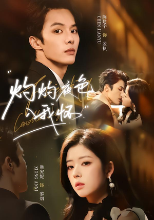 灼灼夜色入我怀（60集）火爆短剧推荐