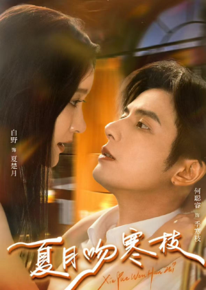夏月吻寒枝（50集）360网盘观看