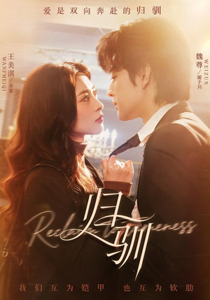 归驯（82集）短剧