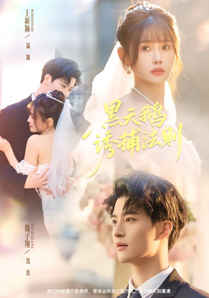 黑天鹅诱捕法册(80集) 黑天鹅诱捕法册(80集)好看的短剧电影