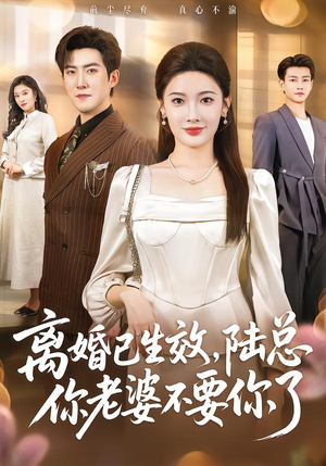 离婚已生效，陆总你老婆不要你了（61集）热播短剧抢先看