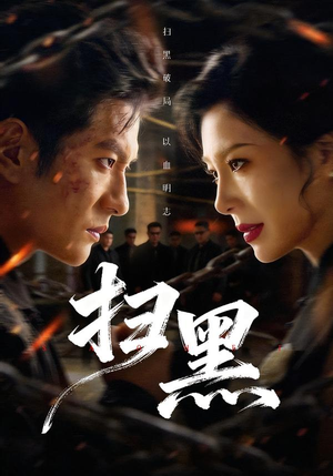 扫黑(70集) 扫黑(70集)网盘在线观看