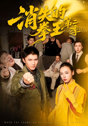 消失的拳王第二季（62集）免费观看