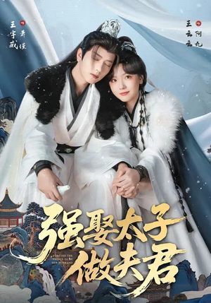 强娶太子做夫君(67集) 强娶太子做夫君(67集)短剧视频分享