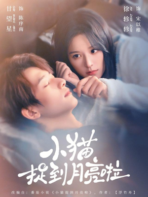 小猫捉到月亮啦(80集) 小猫捉到月亮啦(80集)爆款短剧推荐