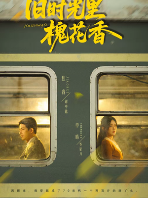 旧时光里槐花香（70集）最火爆的短剧