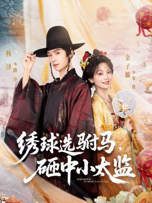 绣球选驸马,砸中小太监(81集) 绣球选驸马,砸中小太监(81集)真的好看吗