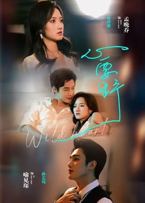 心要野（62集）短剧更新抢先看