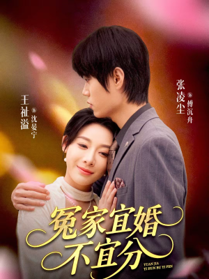 冤家宜婚不宜分（80集）无需会员轻松看
