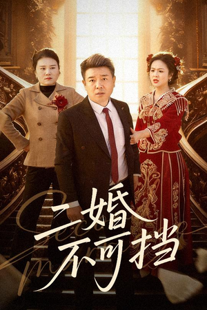 二婚不可挡（36集）短剧解说热门