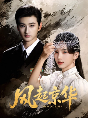 风Q京华(60集) 风Q京华(60集)好看的短剧分享