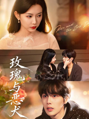 玫瑰与恶犬（80集）短剧在线更新