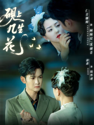 砚上几生花(62集) 砚上几生花(62集)怎么看全集