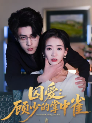 囚爱：顾少的掌中雀（70集）短剧在线更新