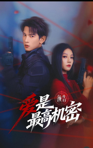 爱是最高机密（24集）在线播放