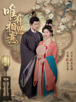 唯有相思意（100集）免费观看全集