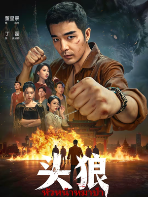 头狼（77集）最新短剧推荐