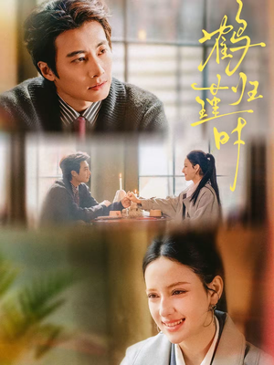 鹤归瑾时（81集）番茄短剧免费看