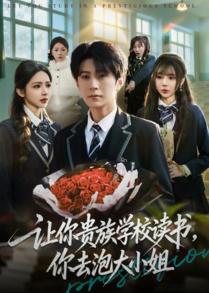 让你贵族学校读书，你去泡大小姐（71集）火爆短剧推荐