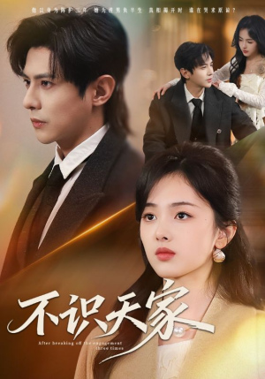 不识天家（69集）精彩的网络短剧