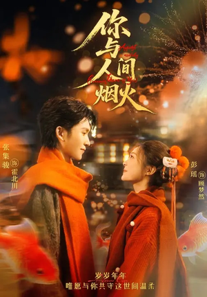 你与人间烟火（60集）在哪个平台看好