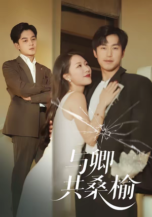 与卿共桑榆（63集）追短剧太上头了